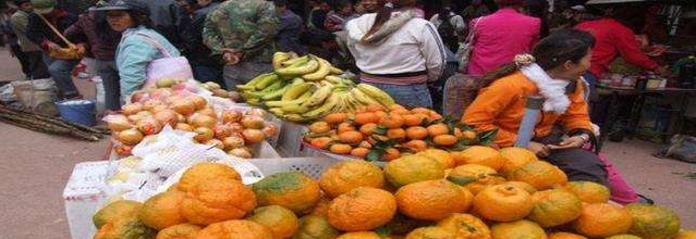 福建女子初中都没毕业，却在富豪圈骗30亿，判刑时狂言：死也值了