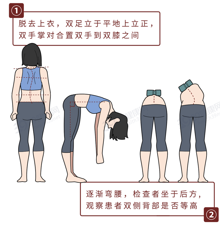 别再只是「把背挺直」了！正确的坐姿是这样的，很多人还不知道