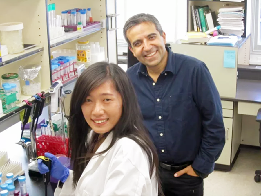 2008年，北大女生赴美深造，9年后跳桥自杀，事后调查发现问题