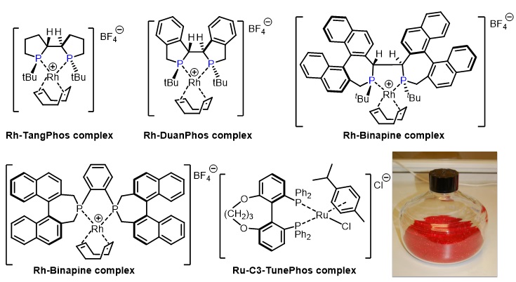 南方科技大学张绪穆教授近年来工作概览