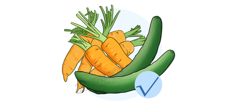 西红柿的营养有多高？生吃和熟吃哪个好？这3类人少吃为好