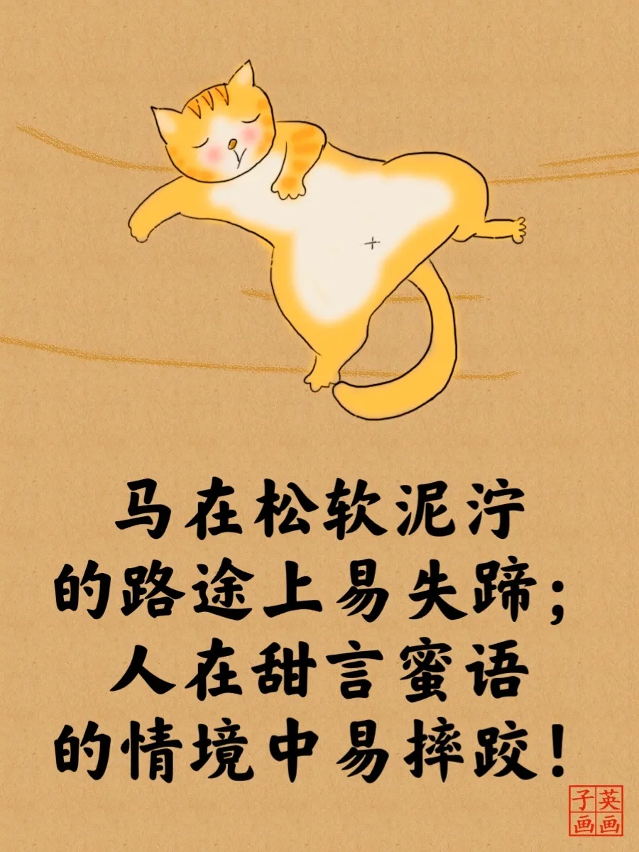 2022经典睿智的猫言猫语人生哲理大全