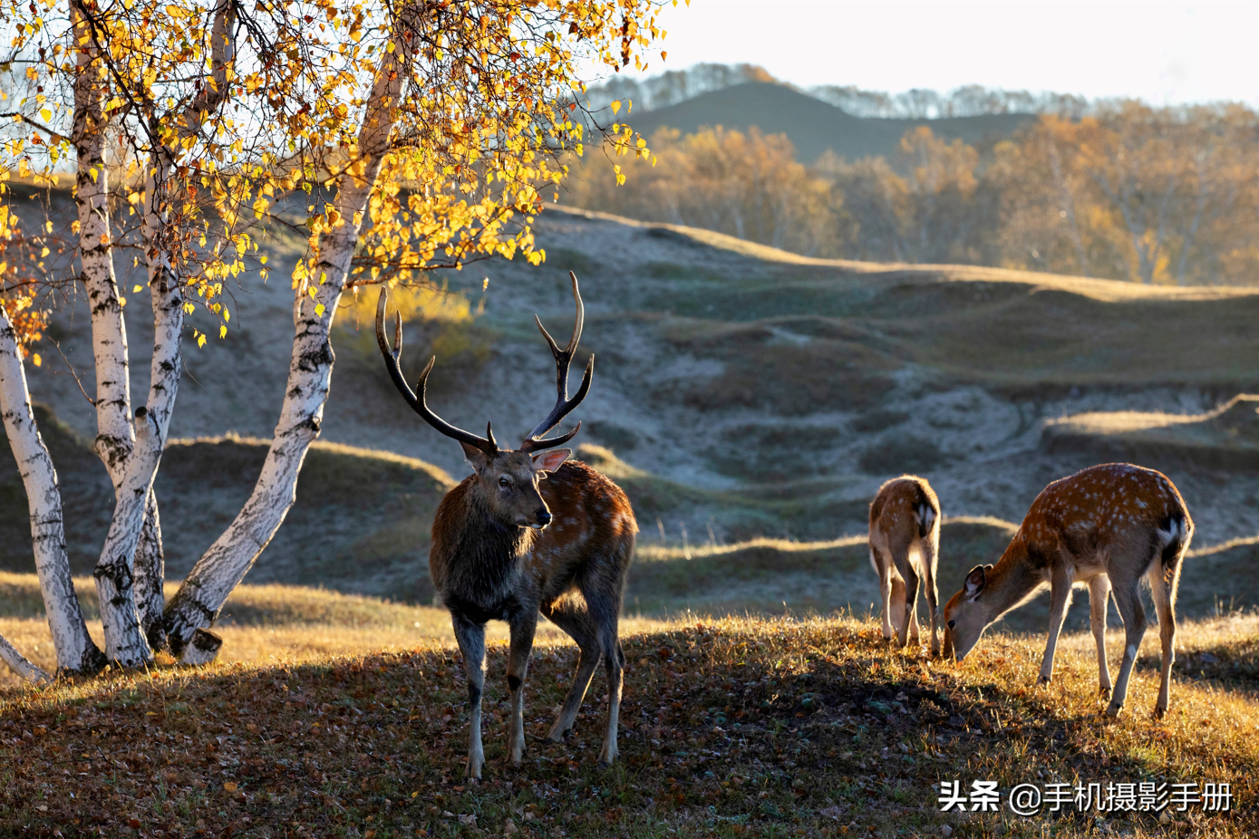 有风景，有摄影，还有爱人相随——我的2021年终盘点