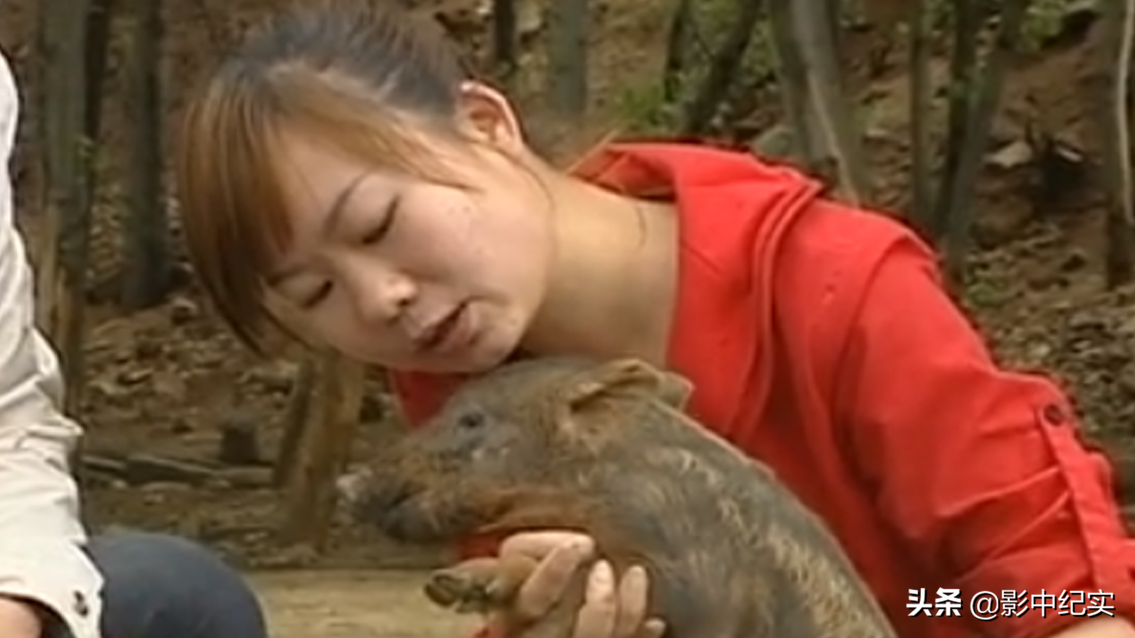 女大学生放弃年薪40万的工作，与野猪同吃同住，10年后年入上亿