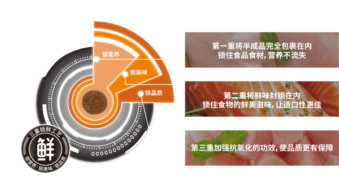 为专业智造而生，比乐品牌全新升级 国内首家宠食4.0智能工厂亮相