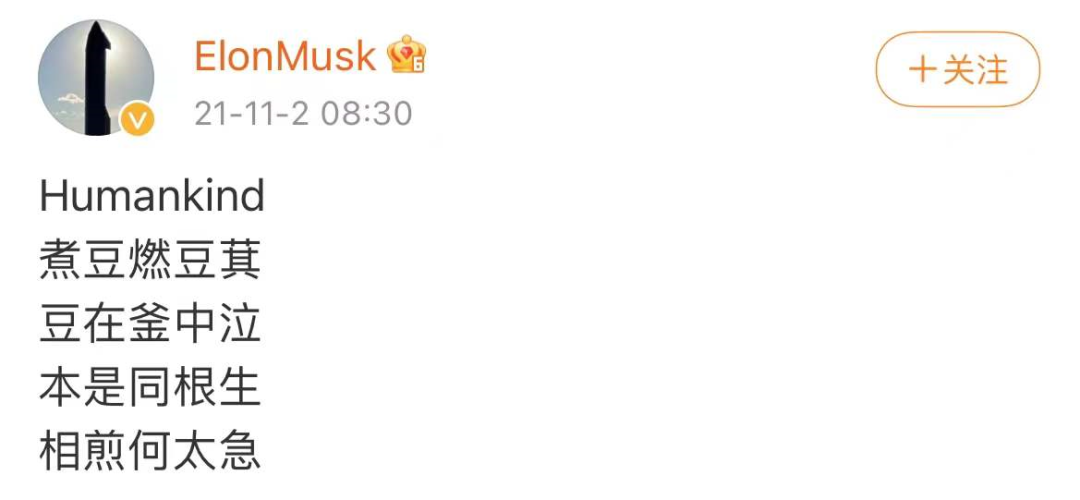 给马斯克规划了当全职网红的几个方向