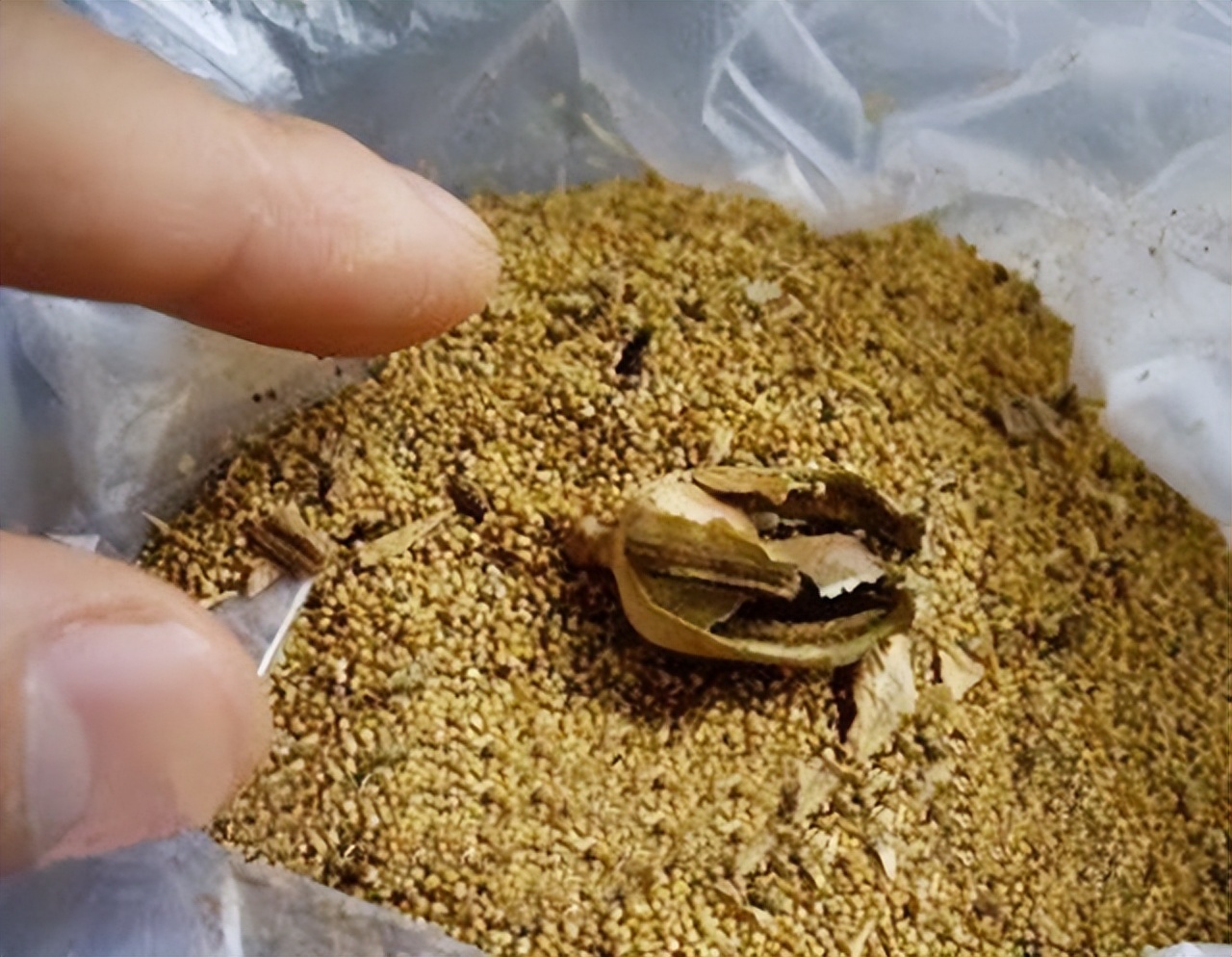 2015年四川小伙参军尿检呈阳性，后了一句话，牵出一桩食品大案