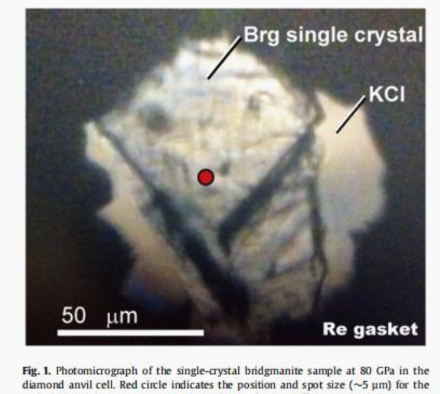 ѧңڲȴٶԶԤڣѵҪˣ