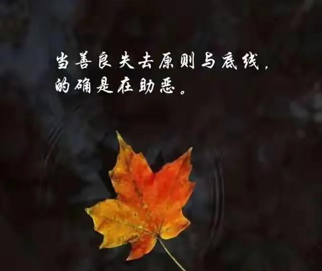 关于底线与规则的说说