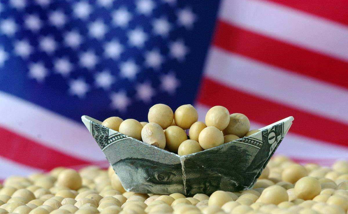 中國連拋1001億美債後，開始大規模買進美大豆，外媒：或採購更多