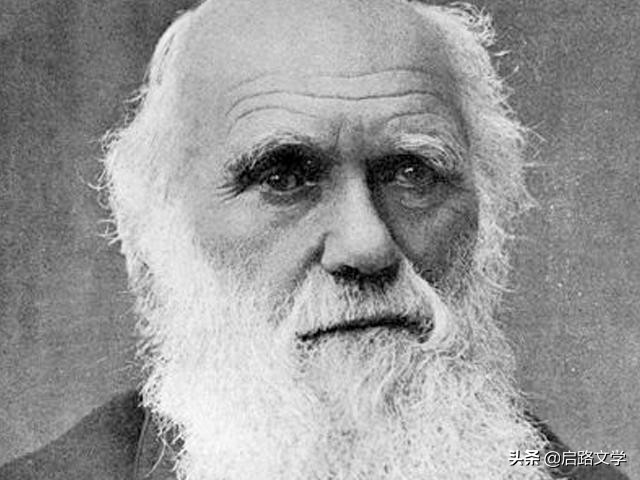 名人名言生活思考句子给生活启示的名人名言