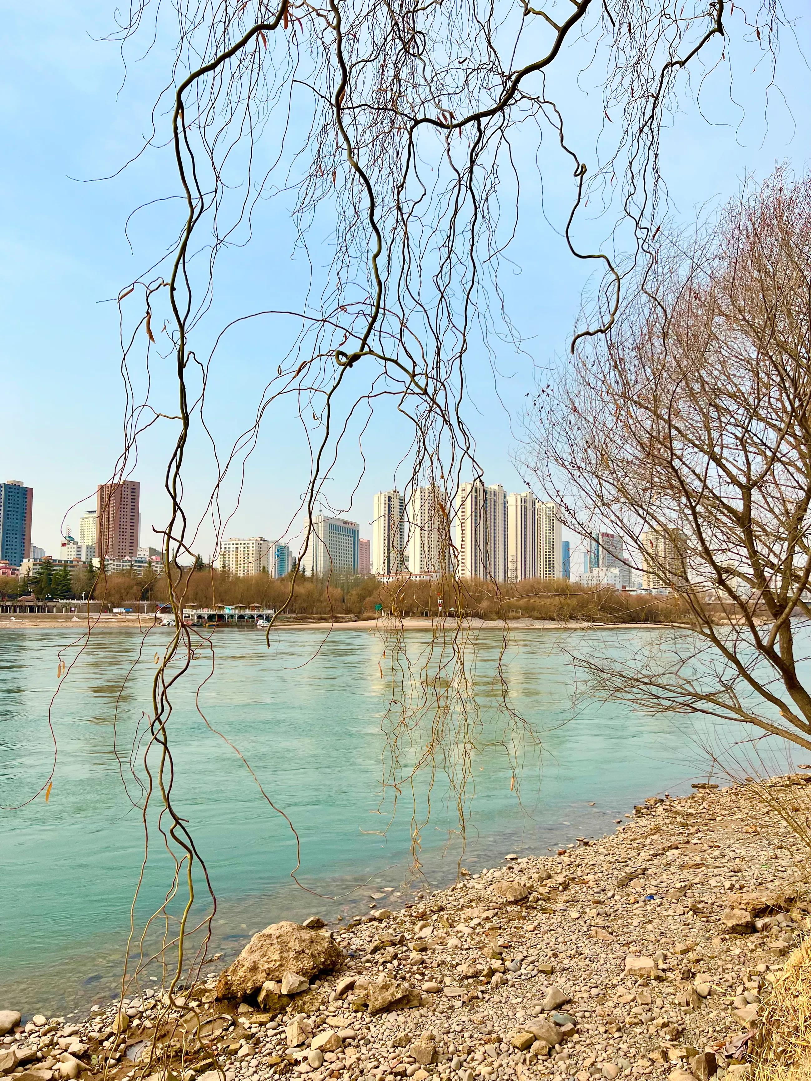 醉美情系黄河情话，流不尽的万千宠爱，美景在你我的心里悄悄流淌