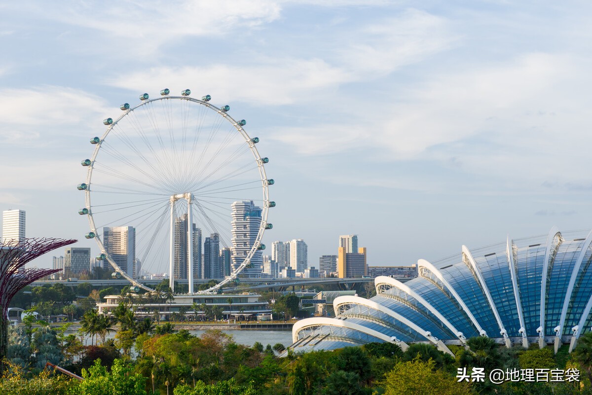 为什么新加坡能成为东南亚经济的小霸王呢。