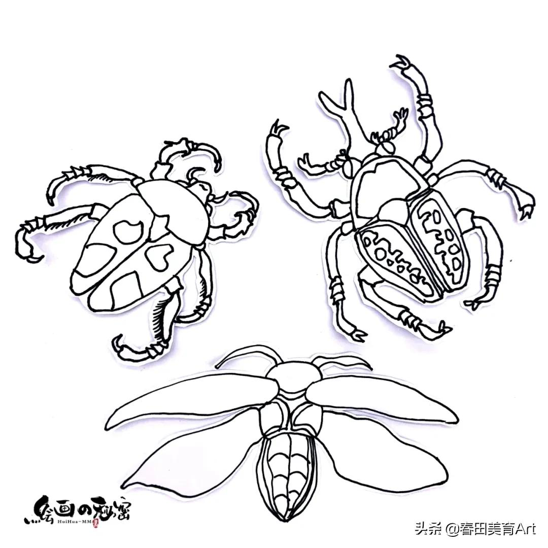 如何画一只甲虫图片