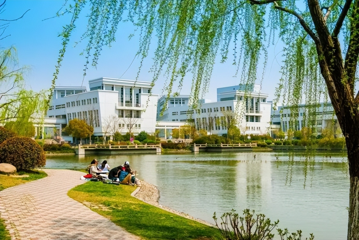 奖学金拿到手软、大三即获3家大厂青睐！上海这位男神学霸将入职阿里！