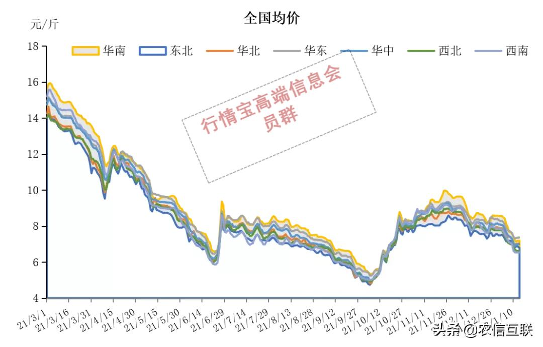 14天猪价已经跌2块！1月上涨的希望在这个时间