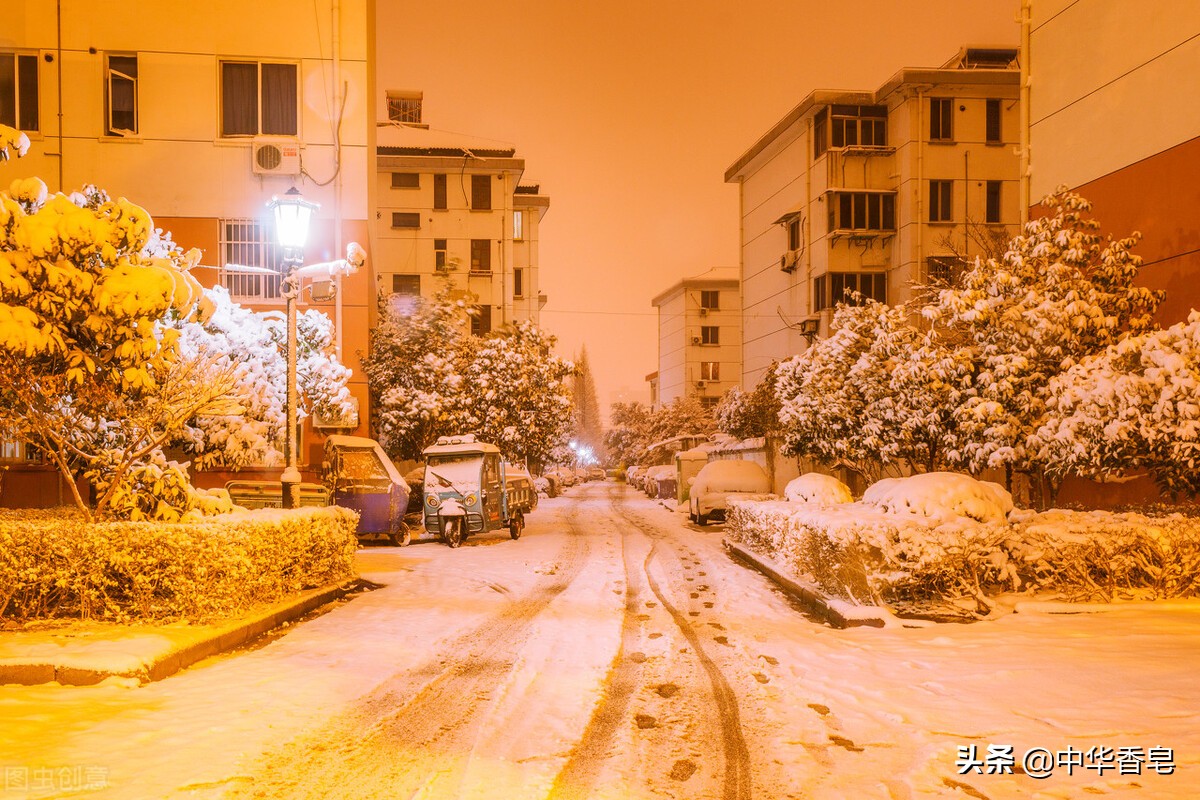 黑泥香樟洗头皂,雪夜里形单影只走在路上,精油香气眨着暖融光辉