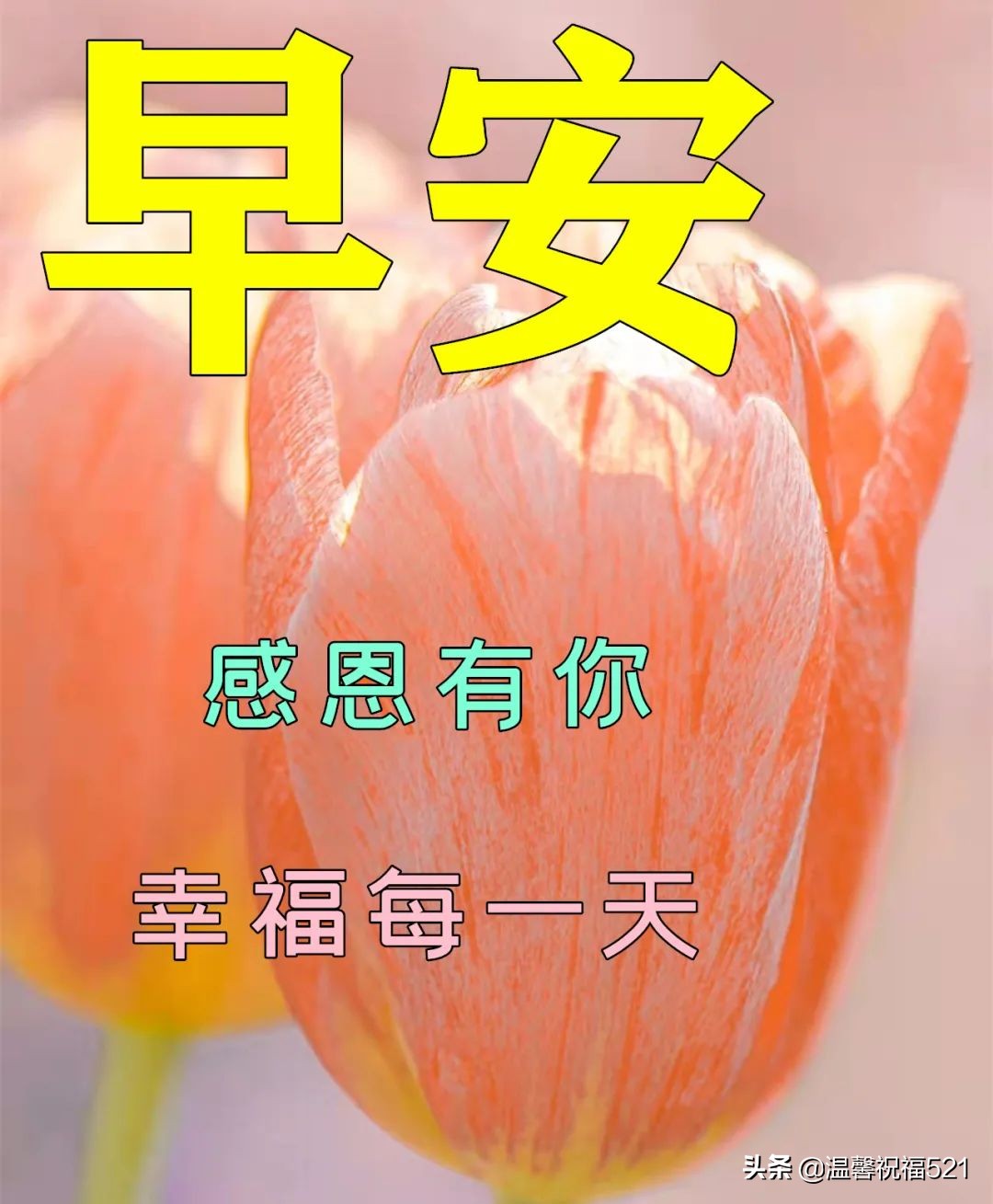 3月7日春日風景早上好圖片帶字帶祝福語 好看的朋友圈早安問候圖片