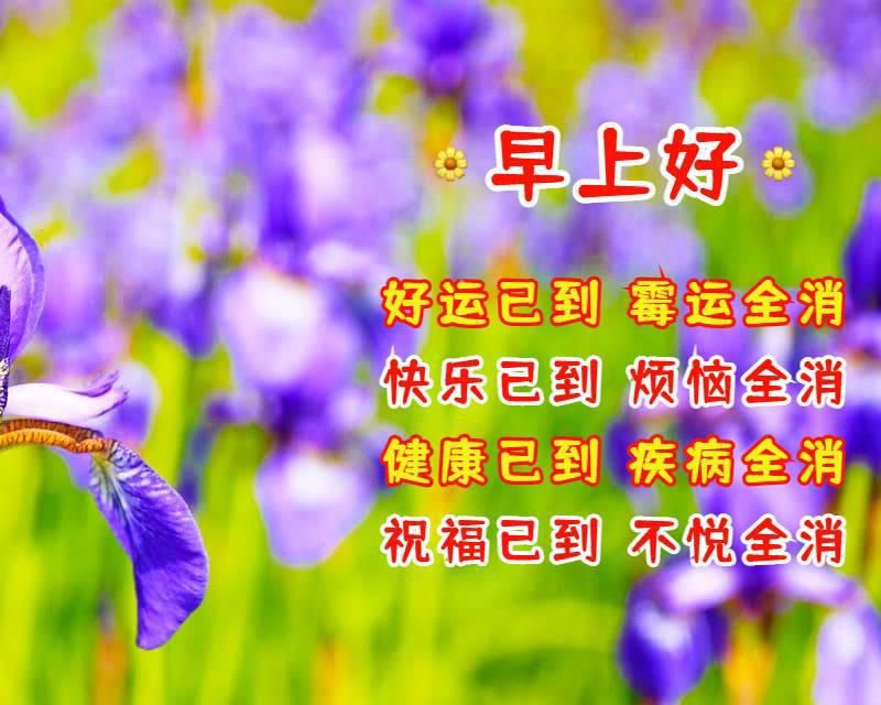 好朋友早上好祝福语优美句子 老朋友早安祝福语祝福图片