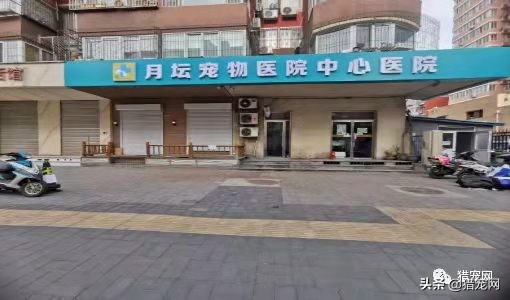 深圳医院招聘网（全国宠物店）