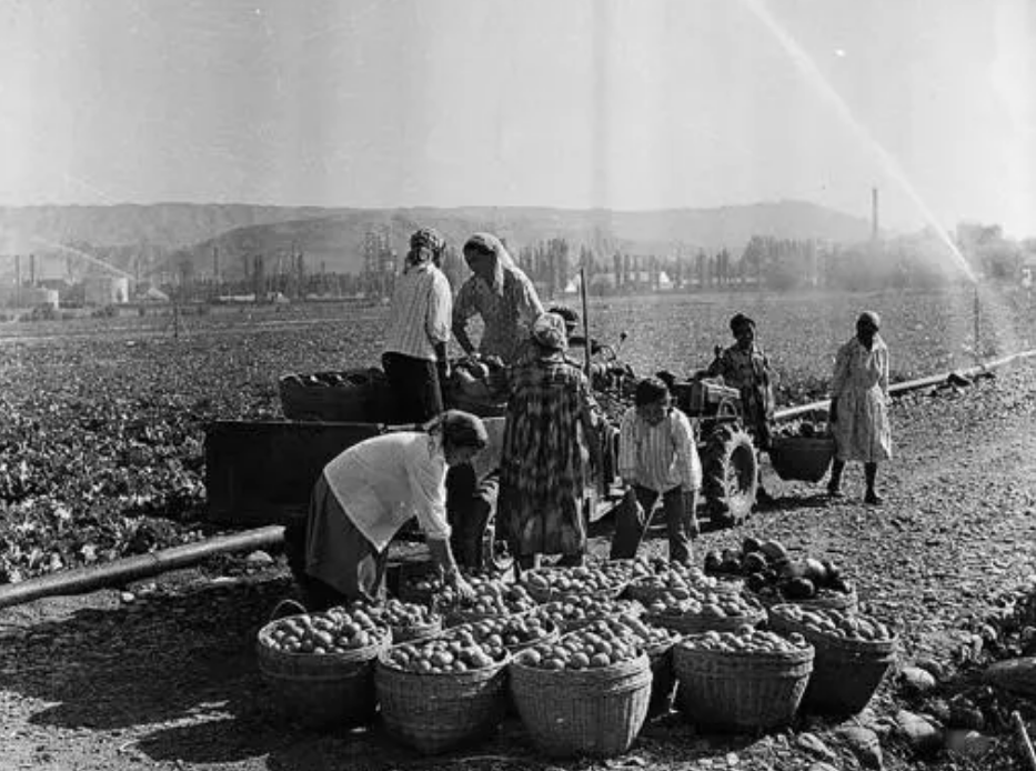 32岁女会计汤兰英：70年代贪污4万，包养7个情夫，最终被情夫举报