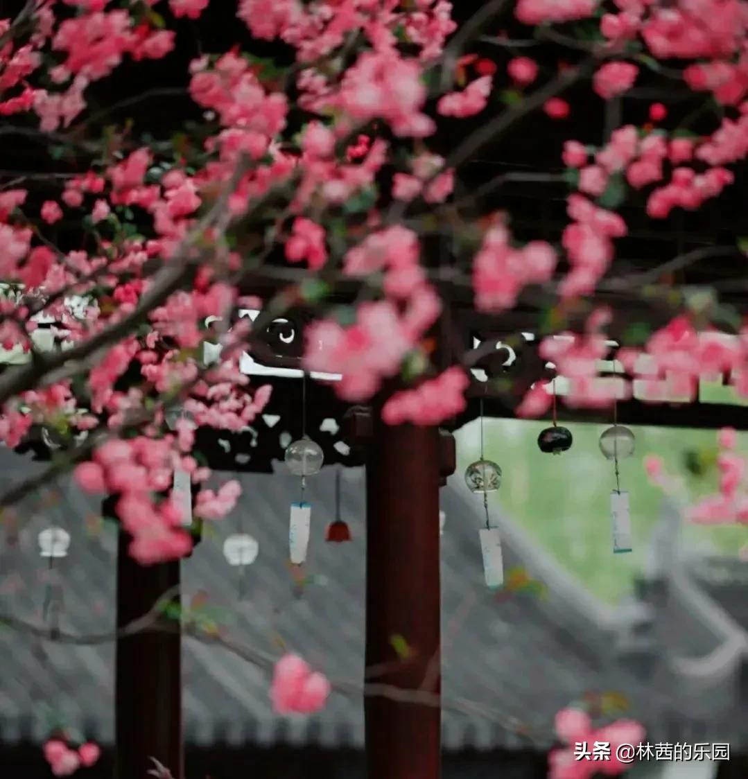 16首描述春游的诗词，清丽如画，名句倍出，值得收藏