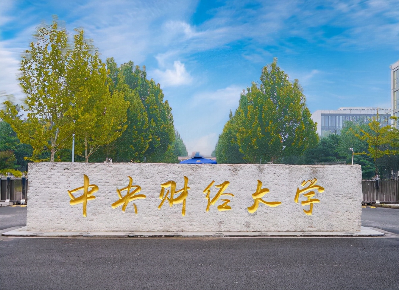 金融领域的“五朵金花”，这5所高校值得报考，好就业发展也不错