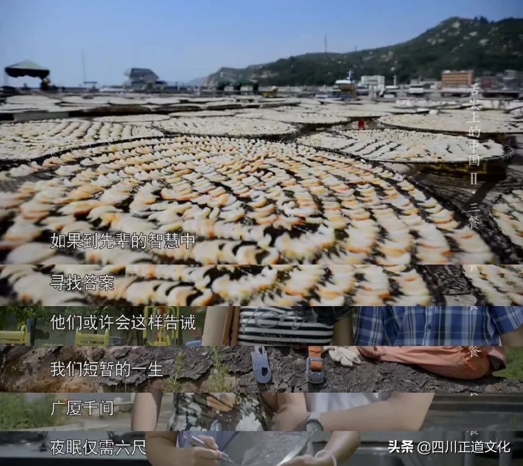 知乎高赞 | 有哪些句子让你觉得一辈子也写不出来？
