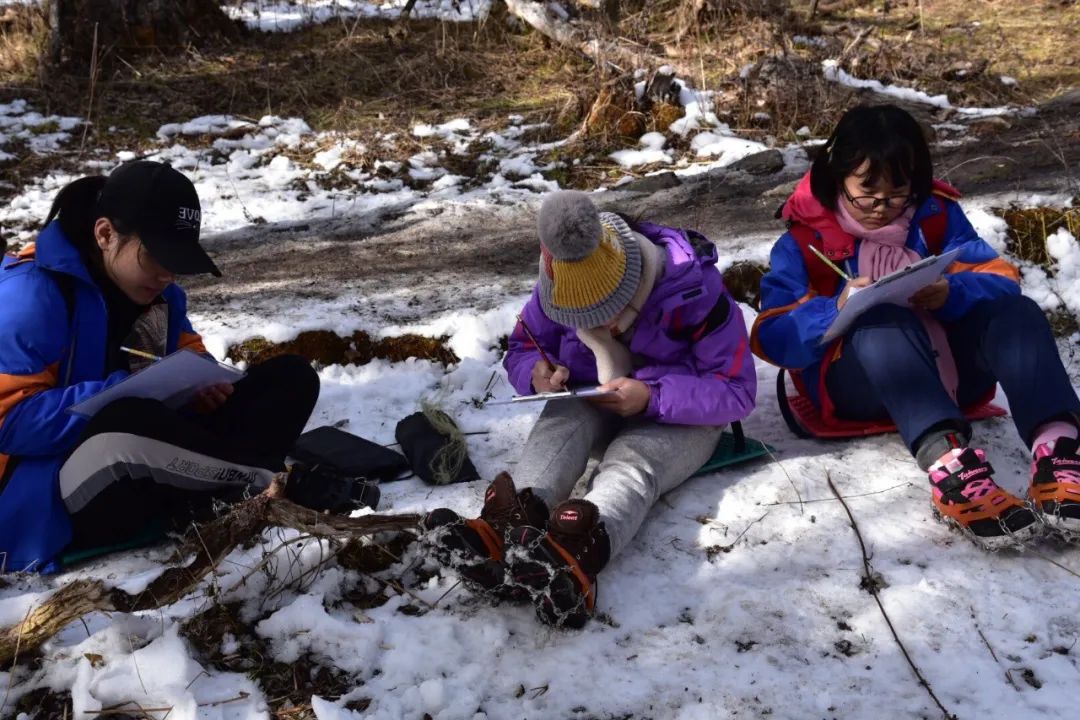 双减不简 综合实践 |双流区棠湖小学综合实践活动课程系列报道