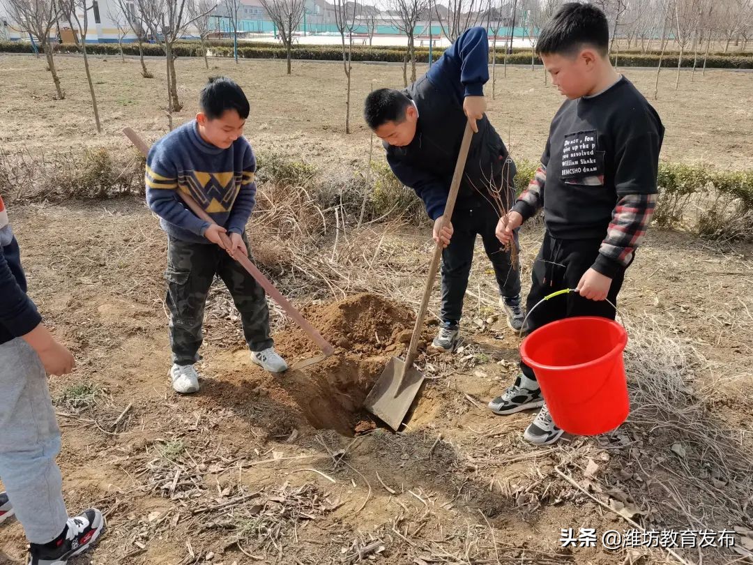 周播报 | 潍坊校园新闻（03.07—03.13）