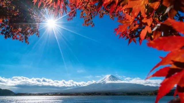 这就是我对美好生活最向往的九张图,图片来源于网络