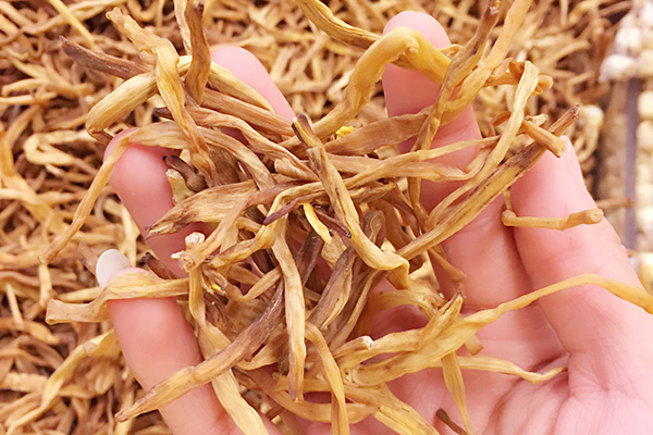 黄花菜的功效比核桃还补脑改善脑动脉阻塞