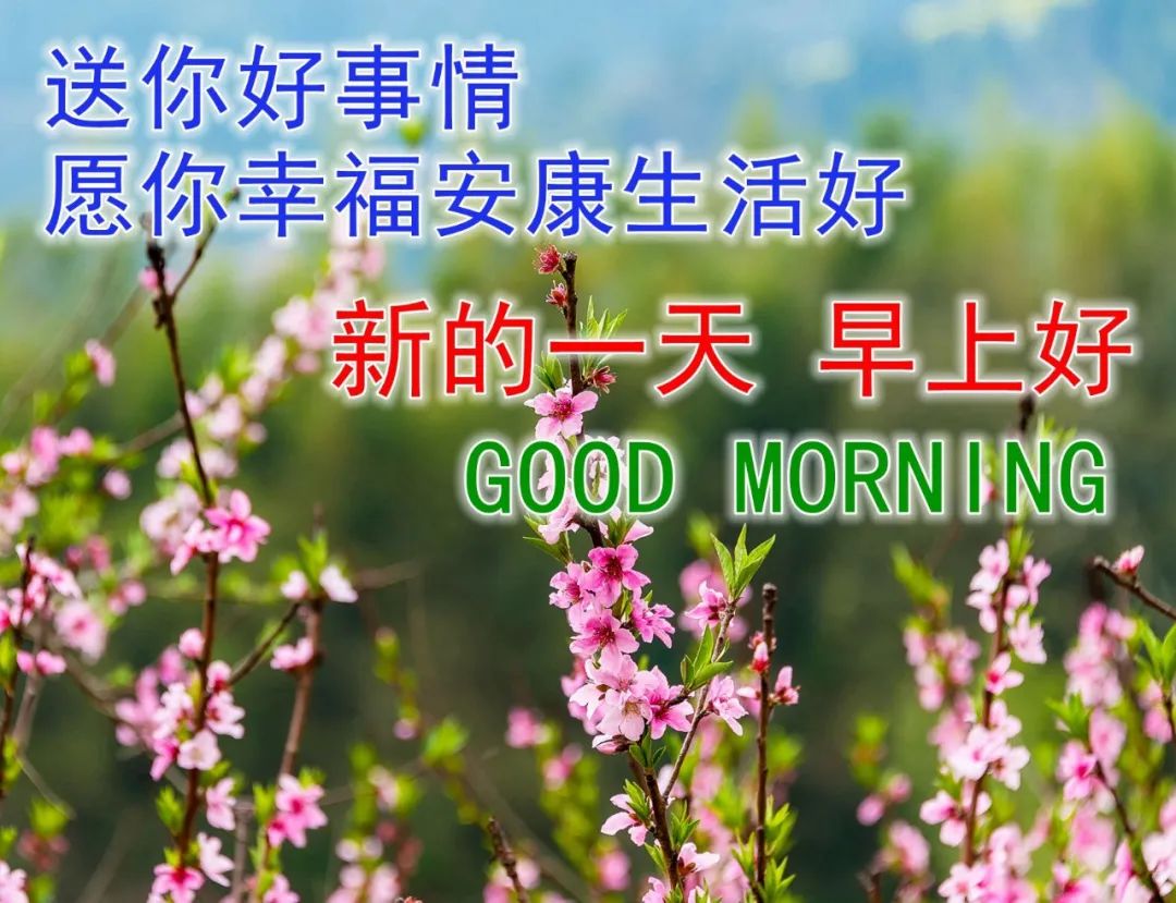 快乐开心早上好祝福图片 美好祝福早安问候图片
