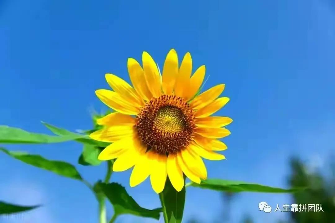 医疗事故分级标准,医疗事故分级标准(试行)