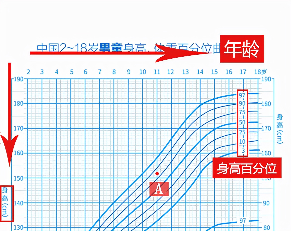 婴儿6个月发育标准（你家孩子以后能长多高）