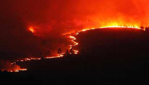 科学家警告：各种迹象表明，地球或许正进入第六次生物大灭绝
