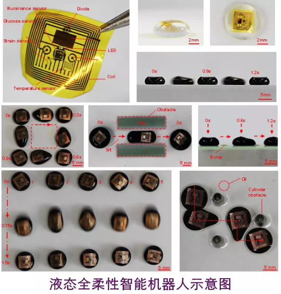 打破国外垄断，实现全球首个！这5项“尖端”技术成果，都来自天津大学！