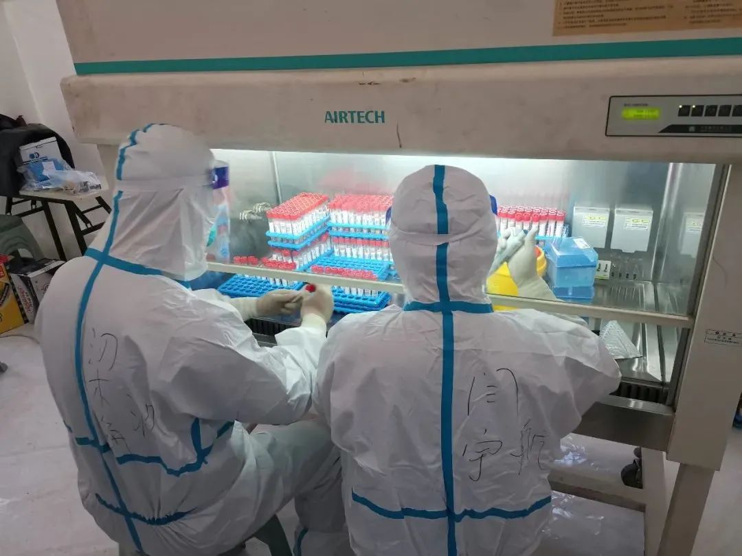 绿“马”守卫战