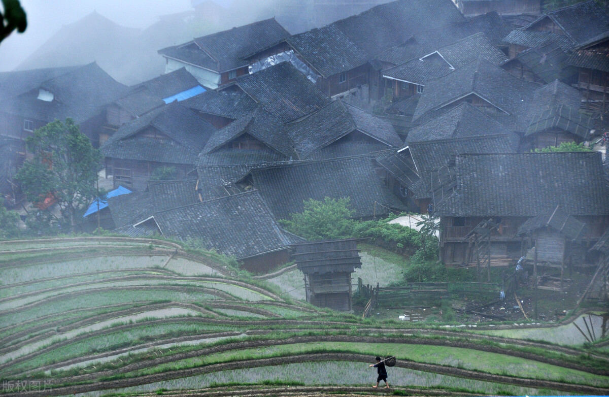 假如没有贵州，中国的春天就要凋零一半