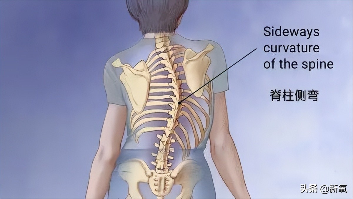 她区区路人脸却带球和男顶流官宣？！一扒背景发现男方属实高攀…