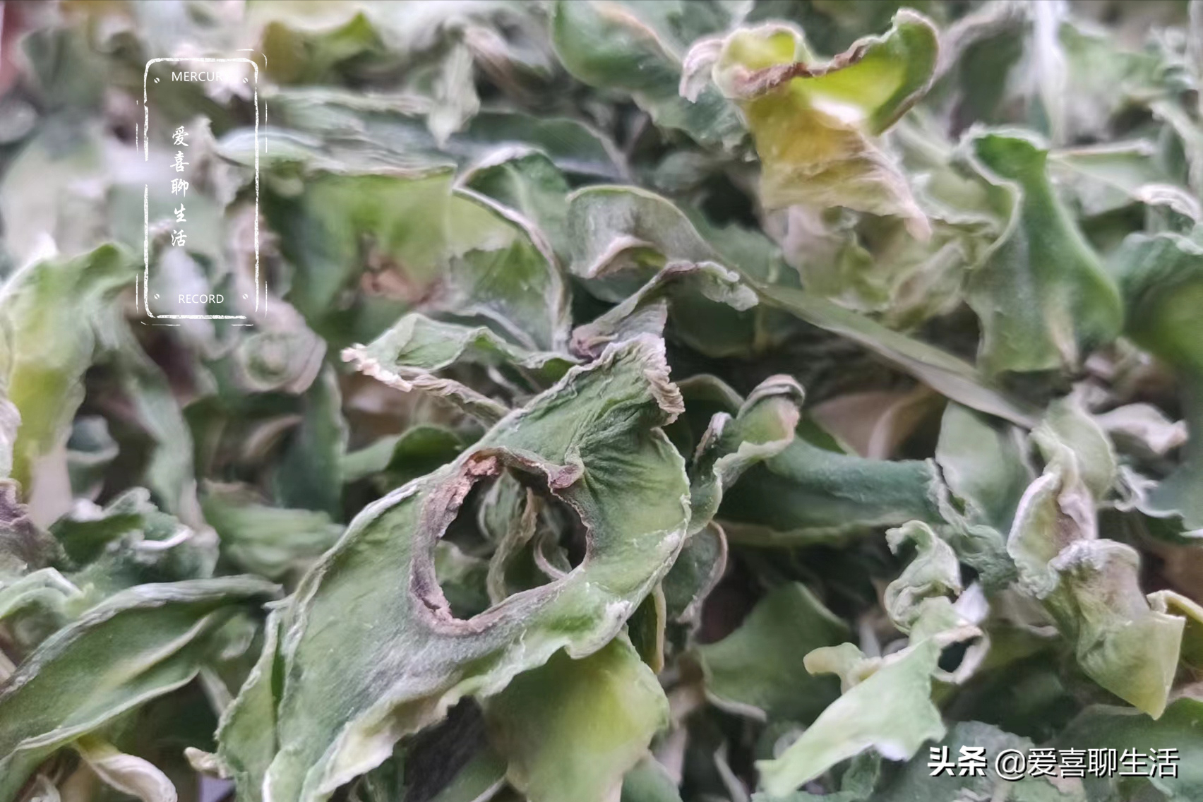 莴笋干的晒制方法（这菜晒干后比新鲜的还好吃）