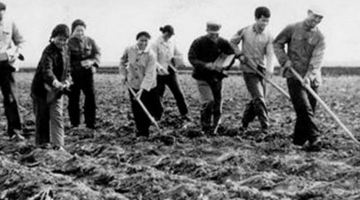 77年高考恢复，被录取的001号学生怎样了？一生都在报效祖国