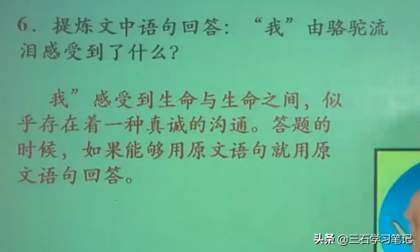 语文阅读理解技巧 分析句段作用 领会句子含义——学习笔记2