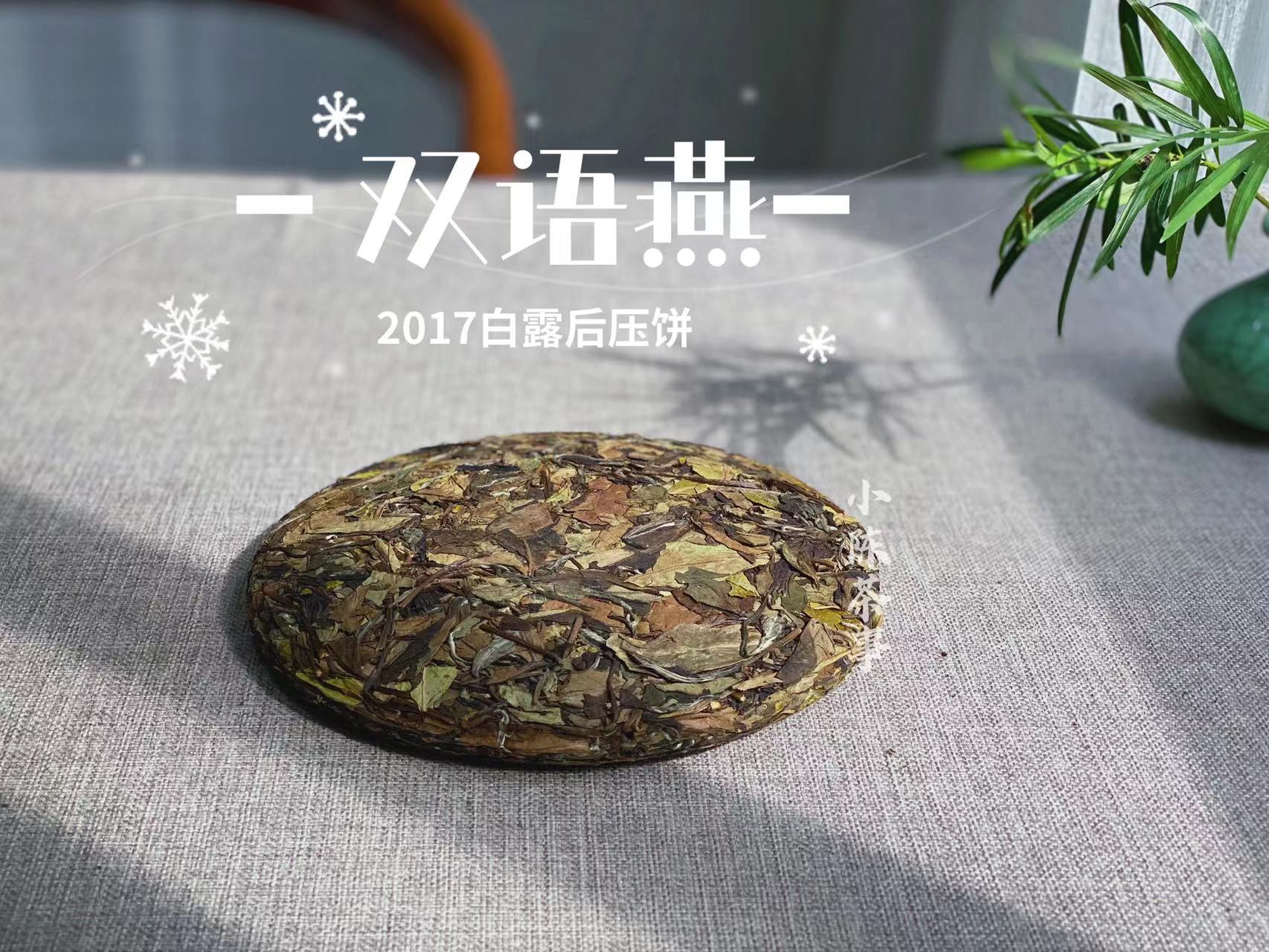 大品牌做年末促销，老白茶5饼288元，你觉得靠谱吗？答案来了