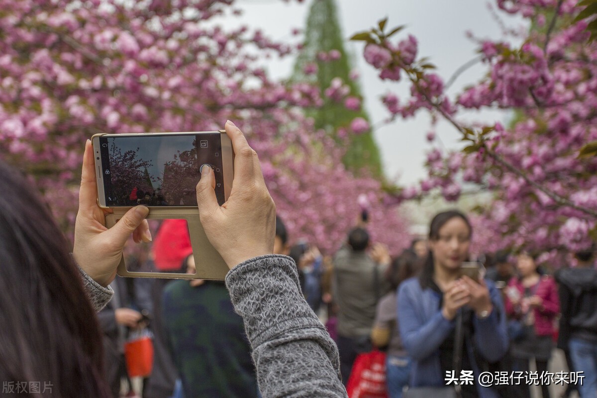合肥科技大学是几本（恭喜安徽考生）