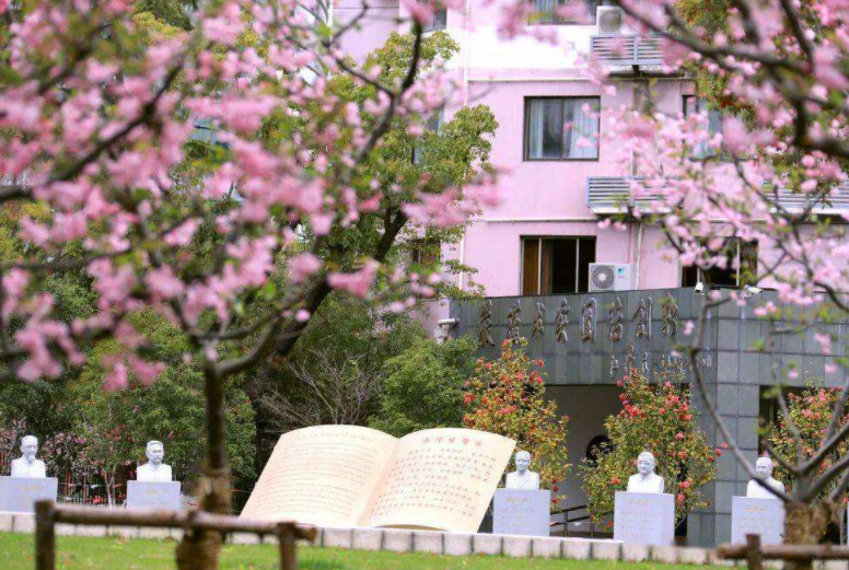 临床医学高校金字塔公布，上交和浙大稳坐塔尖，山大无缘前三名