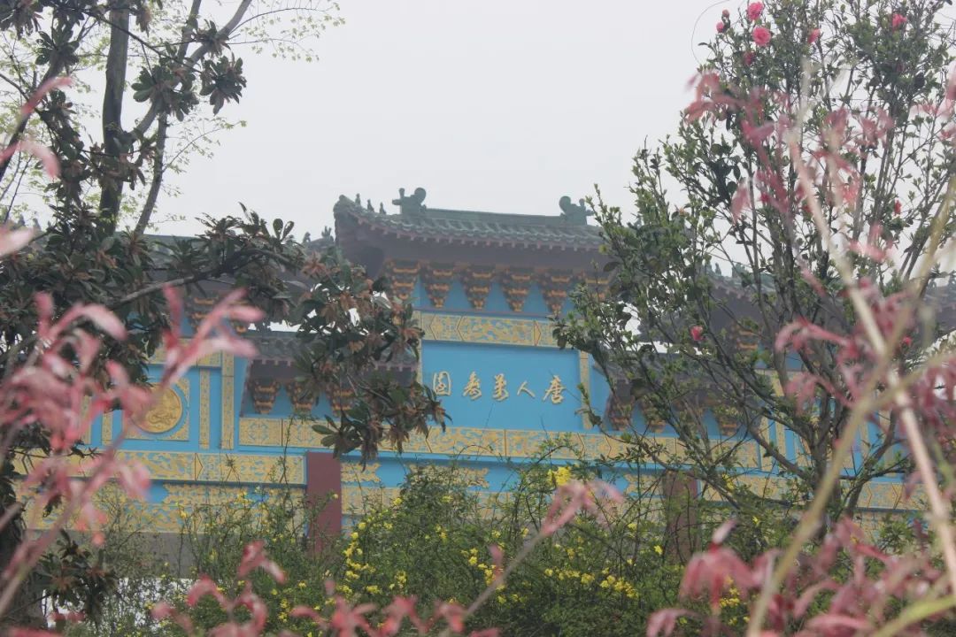 当了3年入殓师，这个24岁女孩遇到了很多事