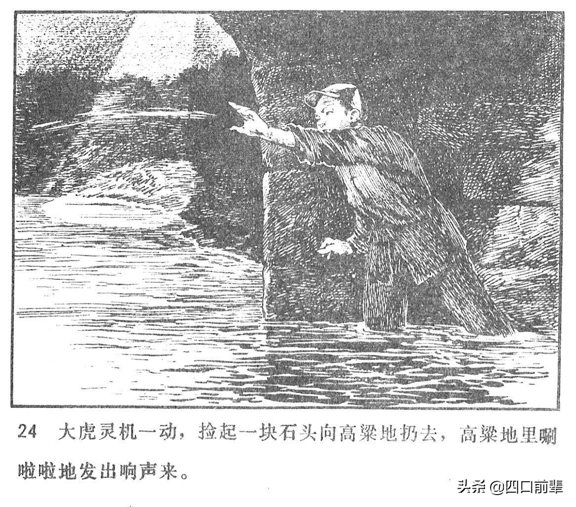 大虎和二虎 天津人民美术出版社 四口前辈 连环画 80后的回忆