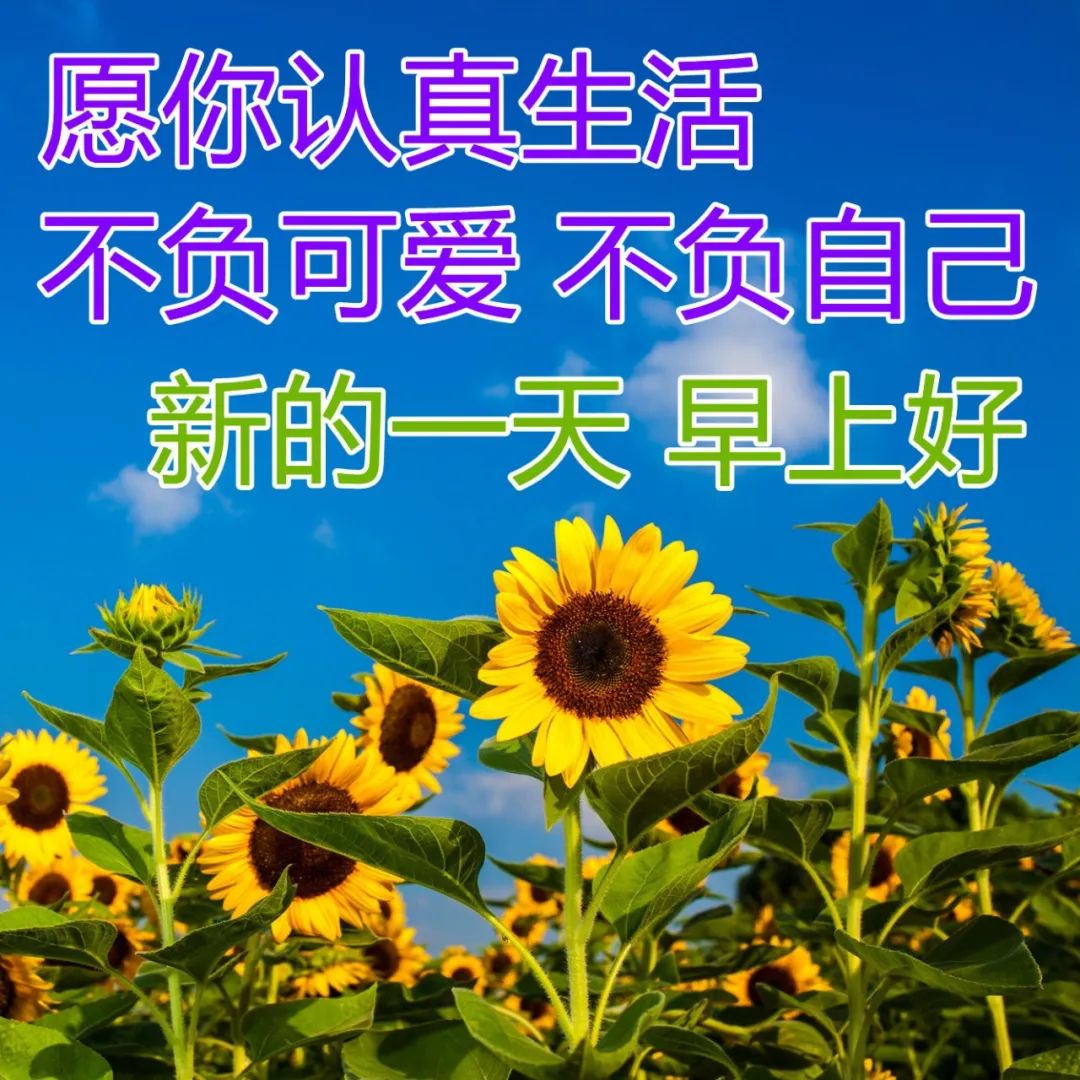 2022.04.28早安心语，唯美励志正能量句子，愿你每天开开心心