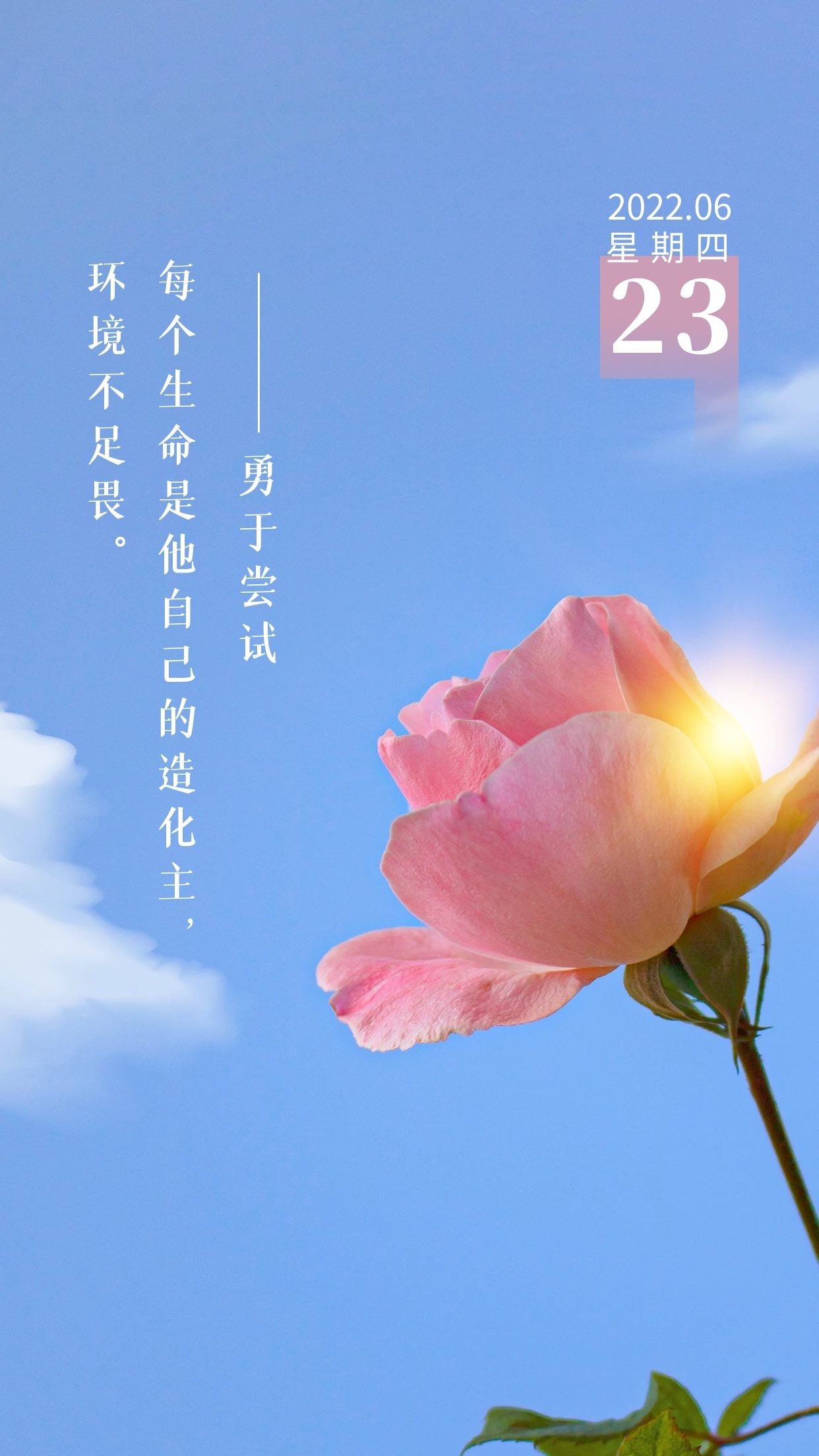 抖音热门说说=抖音热门说说短语